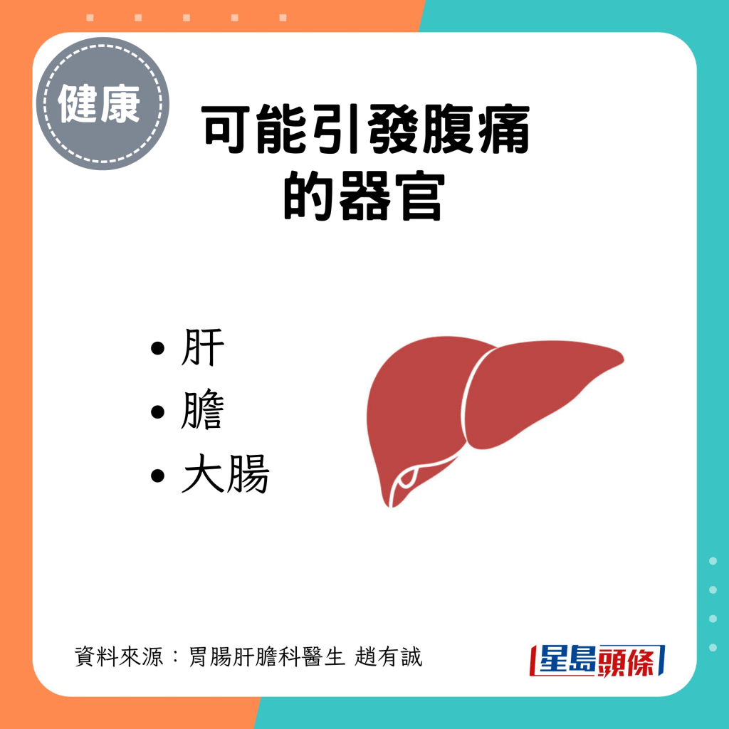 可能引發腹痛的器官：肝 膽 大腸