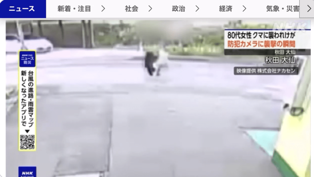 監視畫面顯示,老婦正在路上行走時,一頭體長約80公分的黑熊突然從後方衝出,跳起攻擊她。NHK新聞畫面截圖 監視畫面顯示,老婦正在路上行走時,一頭體長約80公分的黑熊突然從後方衝出,跳起攻擊她。NHK新聞畫面截圖