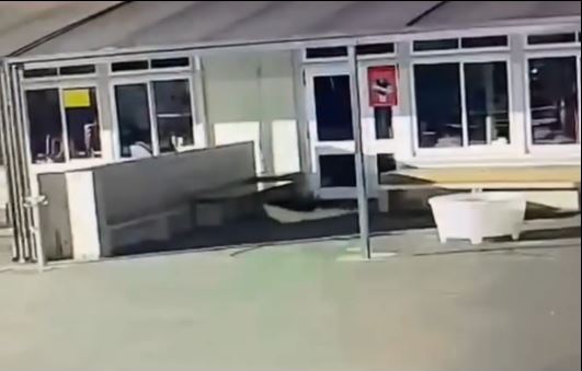 新西蘭有學校過去屢被一隻黑貓偷走內衣及毛巾。FB@Apanui School