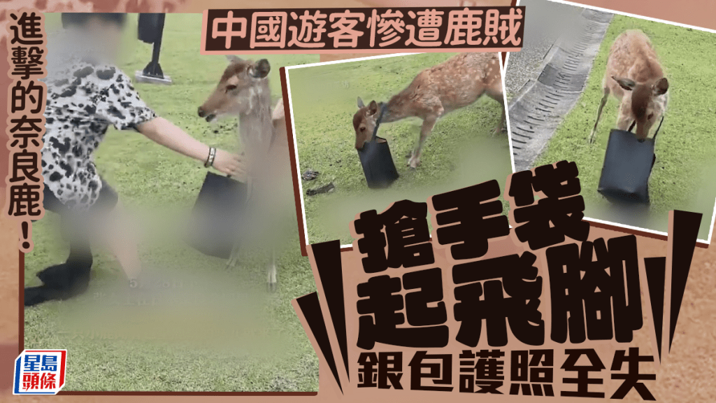 進擊的奈良鹿｜搶中國遊客手袋兼起飛腳 當事人：無外傷但心理受創