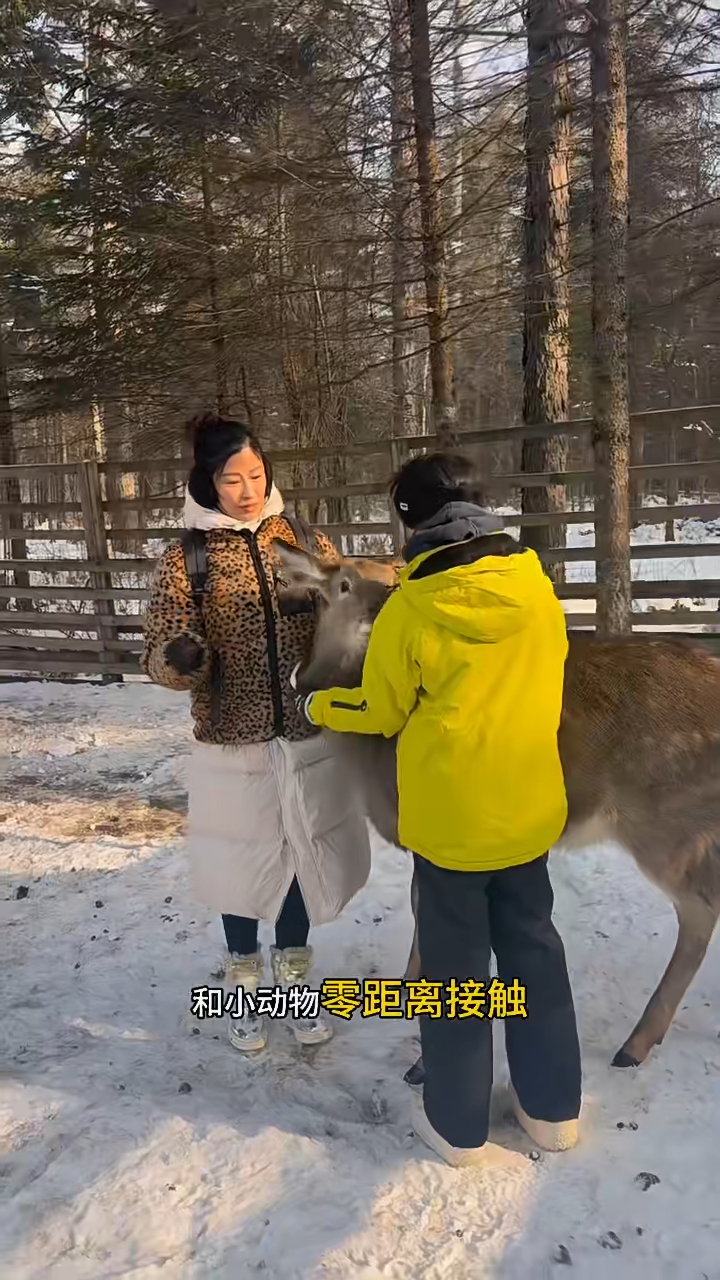 如騎馬、打雪仗、踩冰上單車、冰湖釣魚、飄流及與小動物近距離接觸等。