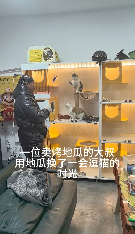 大叔用賣剩的烤番薯向寵物店換來短暫的逗貓時光。抖音@無敵奶爸