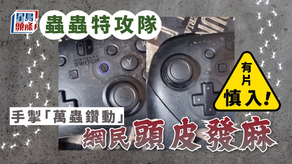 手掣「萬蟲鑽動」嘔心嚇人,網民施大招教滅蟲妙法。