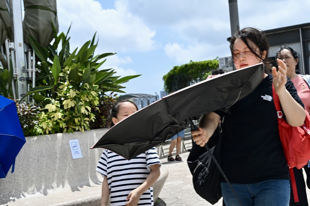 劉駿軒攝 劉駿軒攝