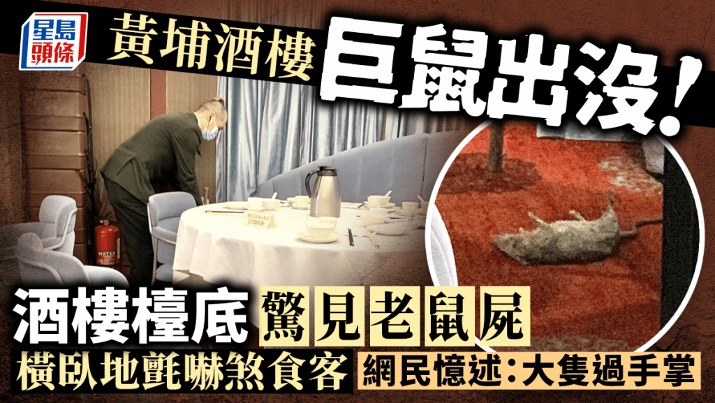 黃埔某酒樓發現老鼠屍體。fb:黃埔人•紅磡人•土瓜灣人