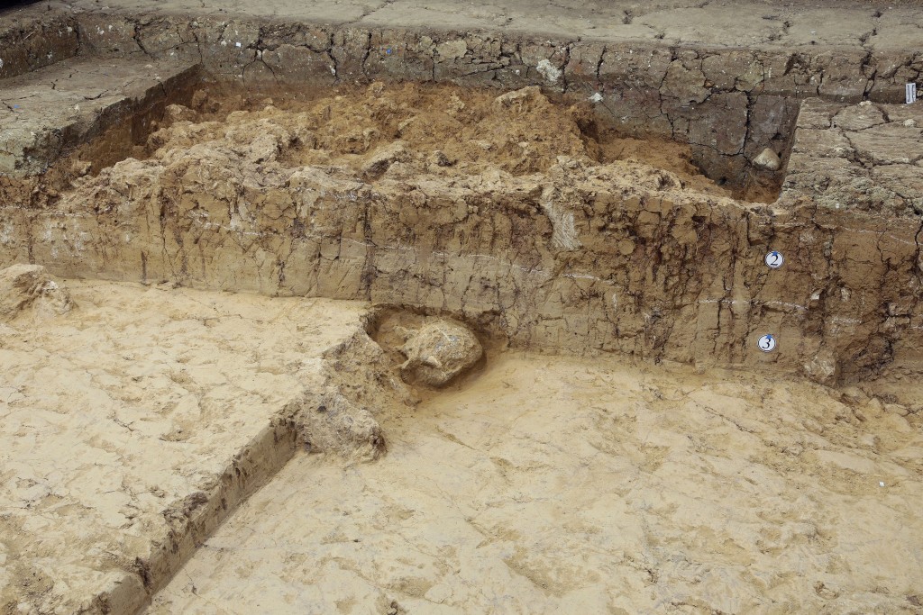 湖北十堰學堂梁子遺址發掘現場被命名為「鄖縣人3號頭骨」。新華社