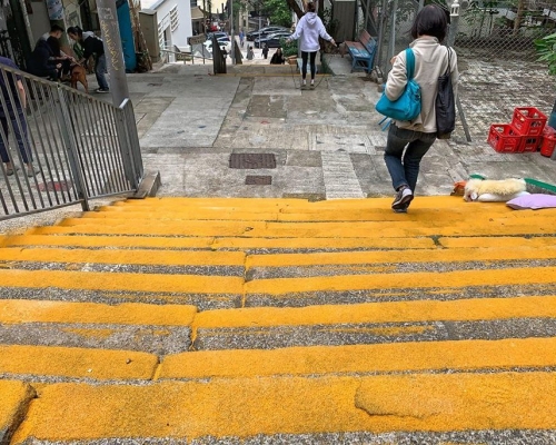 城皇街百年石梯突被噴上多條黃色防滑漆面。中西區關注組facebook圖片