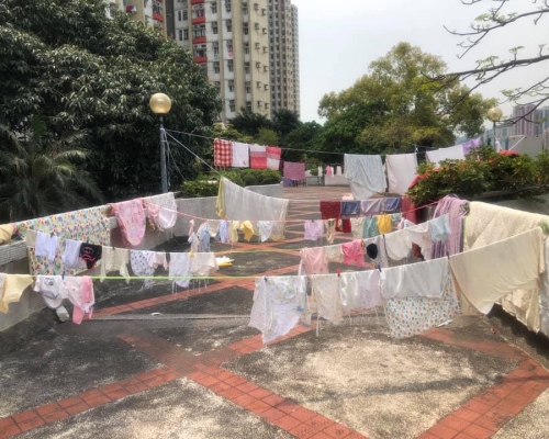 網民Wong Kay圖片
