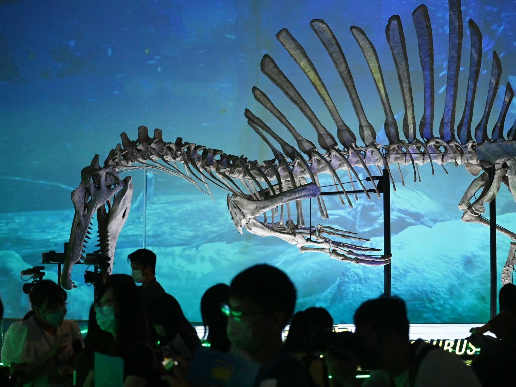 七款恐龍化石模型首次於香港展出。