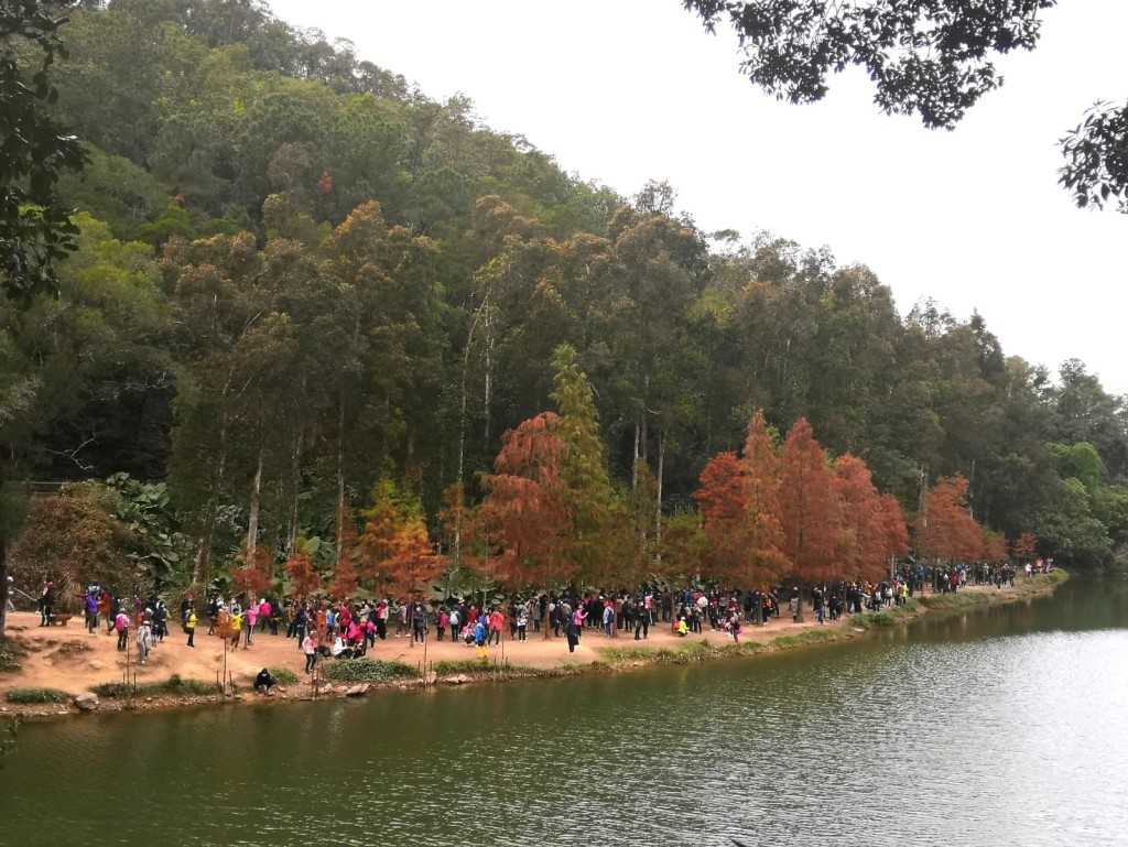 流水響水塘相當熱鬧。讀者提供