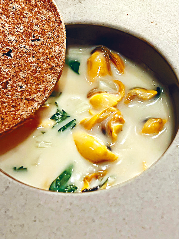 莫里朔青口 莫里朔青口