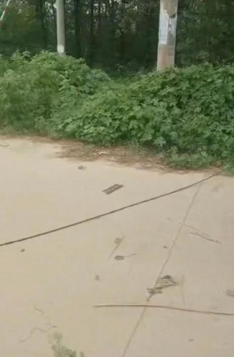 路上拉的线缆。大风新闻