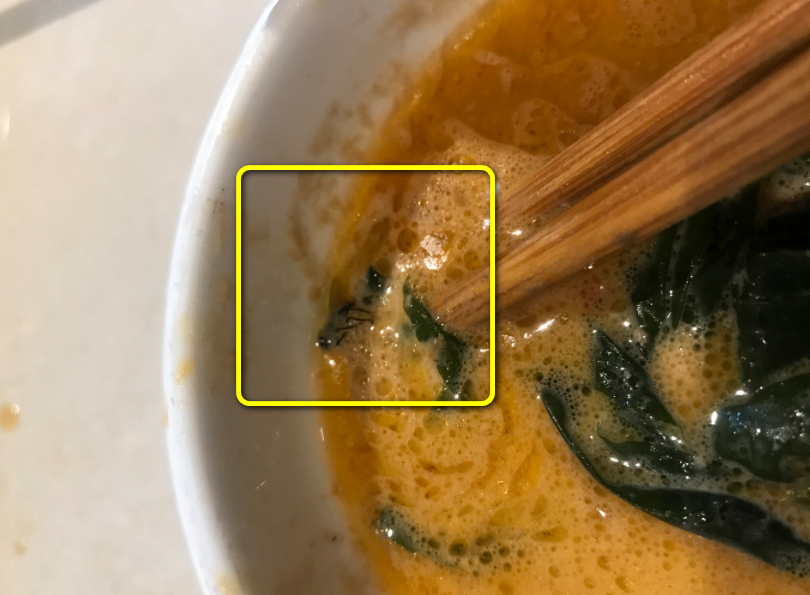 蒼蠅在芝麻醬中。網圖