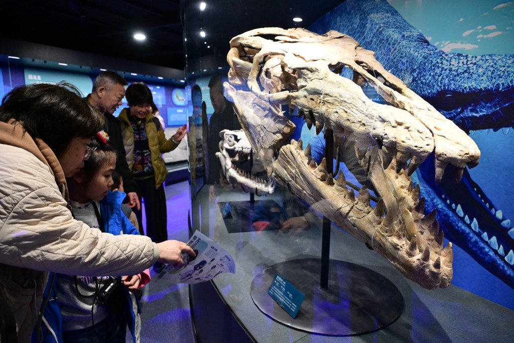 滄龍被認為是白堊紀海洋中最可怕的頂級掠食者之一。新華社 滄龍被認為是白堊紀海洋中最可怕的頂級掠食者之一。新華社