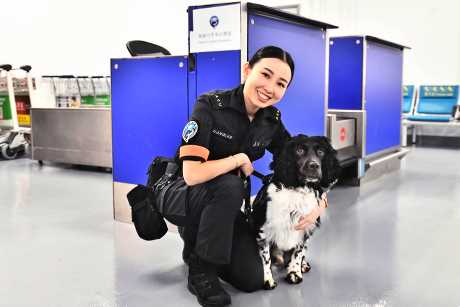 領犬員王曉萌Mandy與兩歲的嗅探犬Steve參與執勤約一年半。