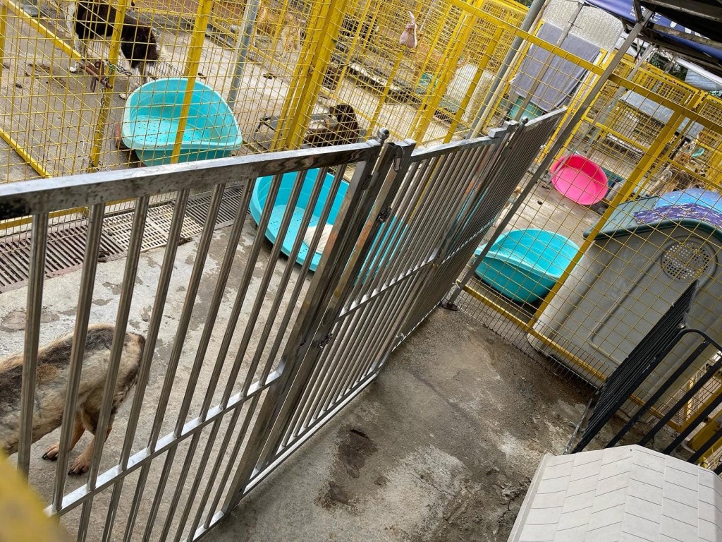 收容所呼籲公眾捐助大型狗籠或不鏽鋼圍欄，以協助他們分隔狗狗。KAS FB專頁