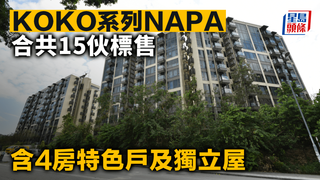 KOKO系列NAPA合共15伙標售 含4房特色戶及獨立屋
