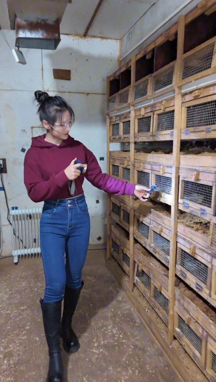 桂林女蛇王自小與蛇為伴，現在養6萬毒蛇，年入百萬元。抖音