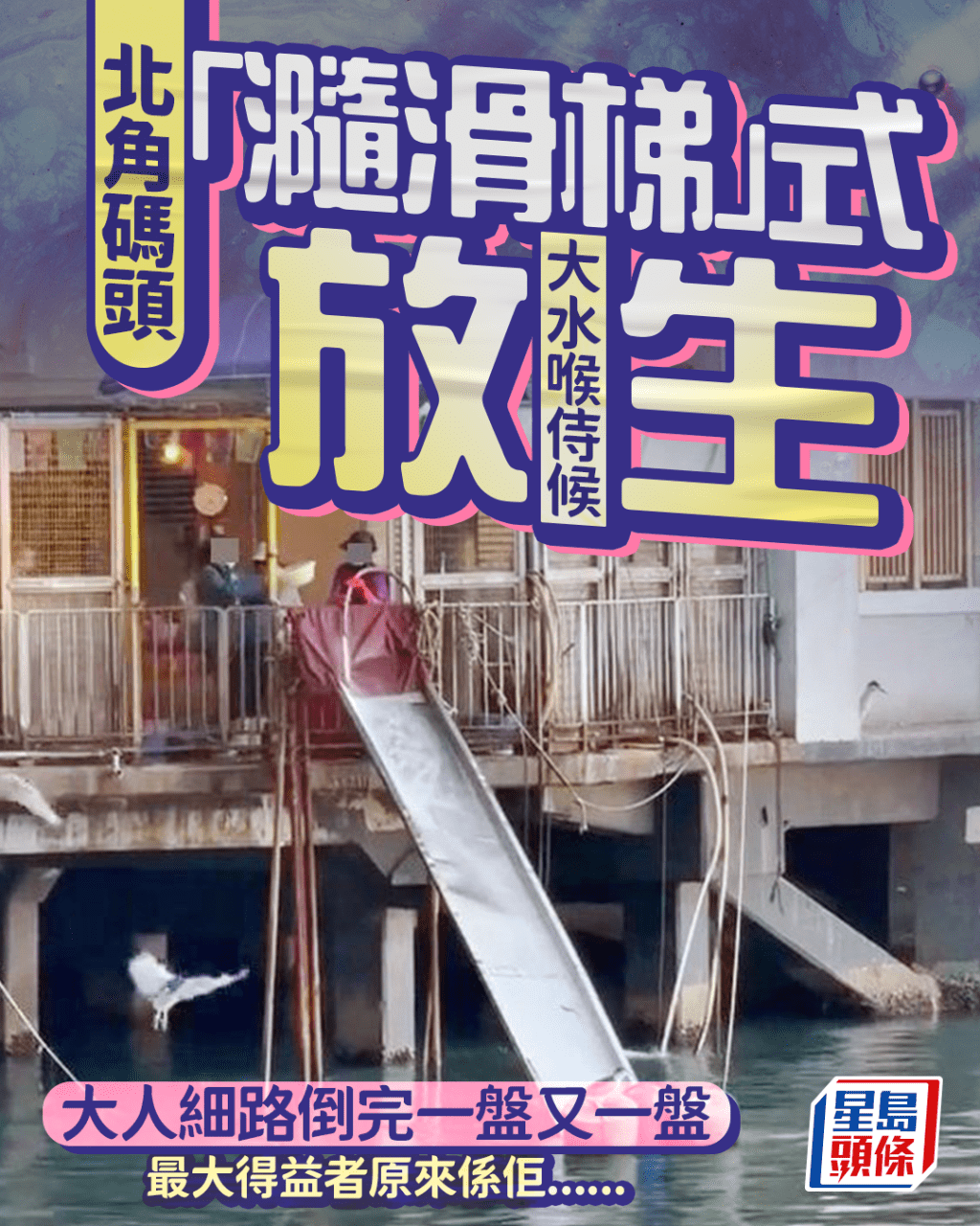 北角碼頭「瀡滑梯」式放生 大水喉侍候 大人細路倒完一盤又一盤 最大得益者原來係佢...... 北角碼頭「瀡滑梯」式放生 大水喉侍候 大人細路倒完一盤又一盤 最大得益者原來係佢......