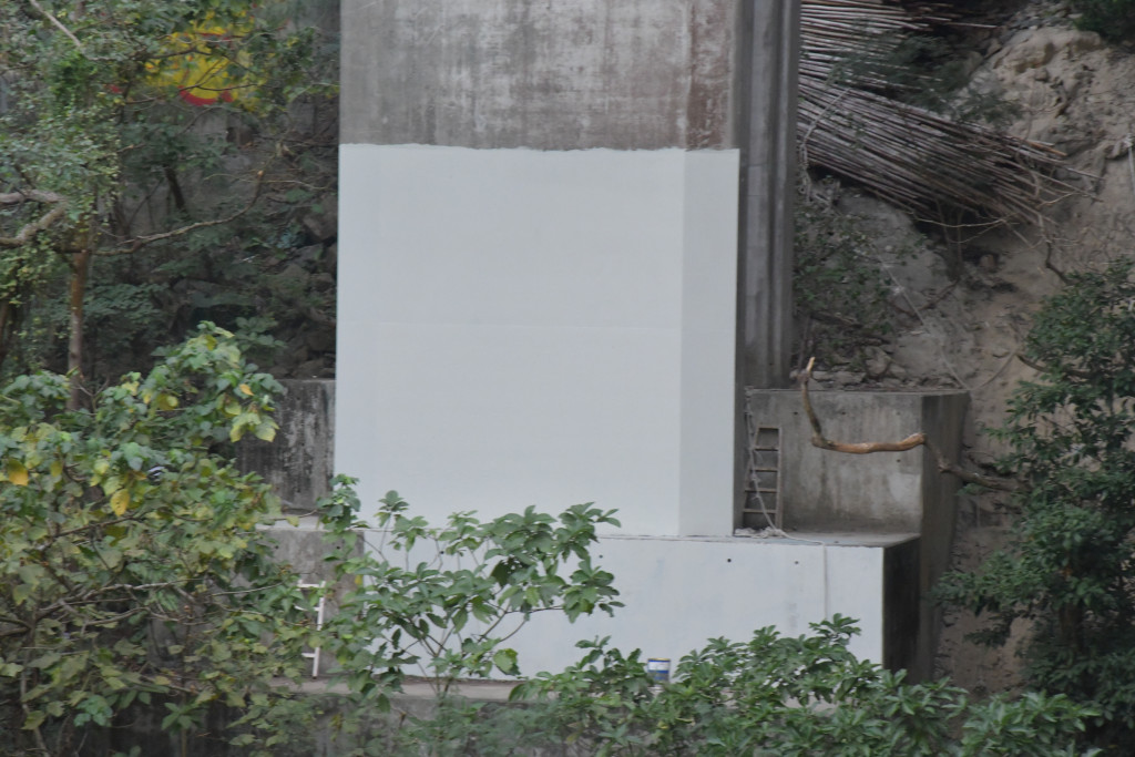 汀九「光环猫」被大榄隧道公司派人用白油覆盖。资料图片