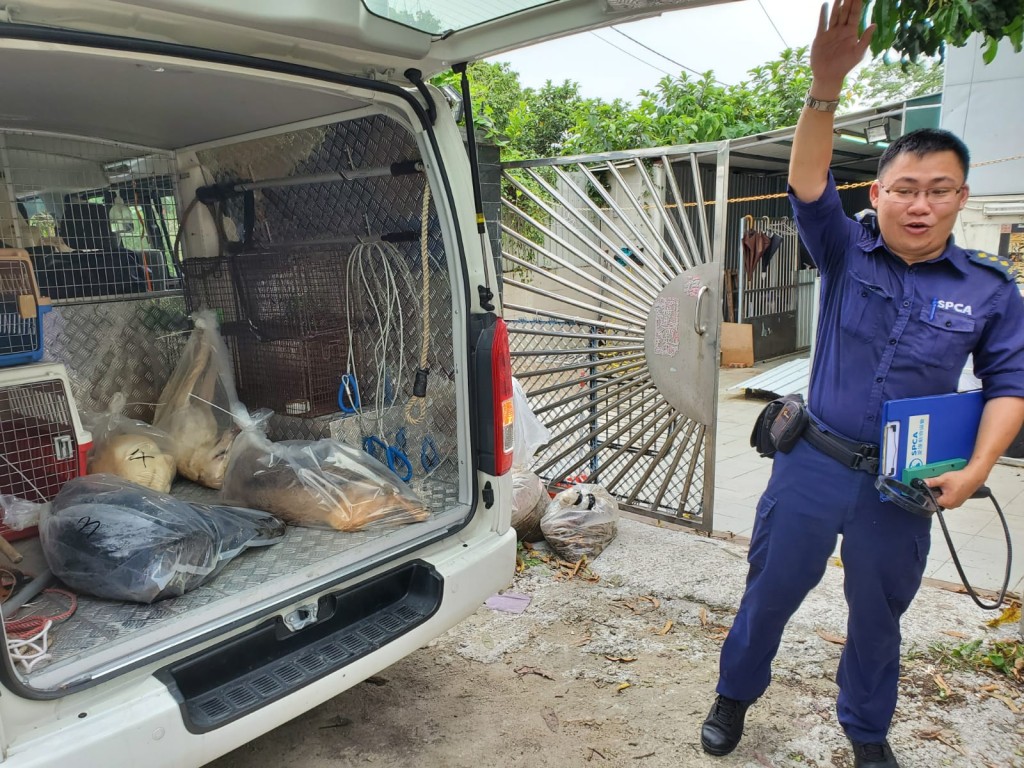 愛協帶走狗屍。 蔡楚輝攝