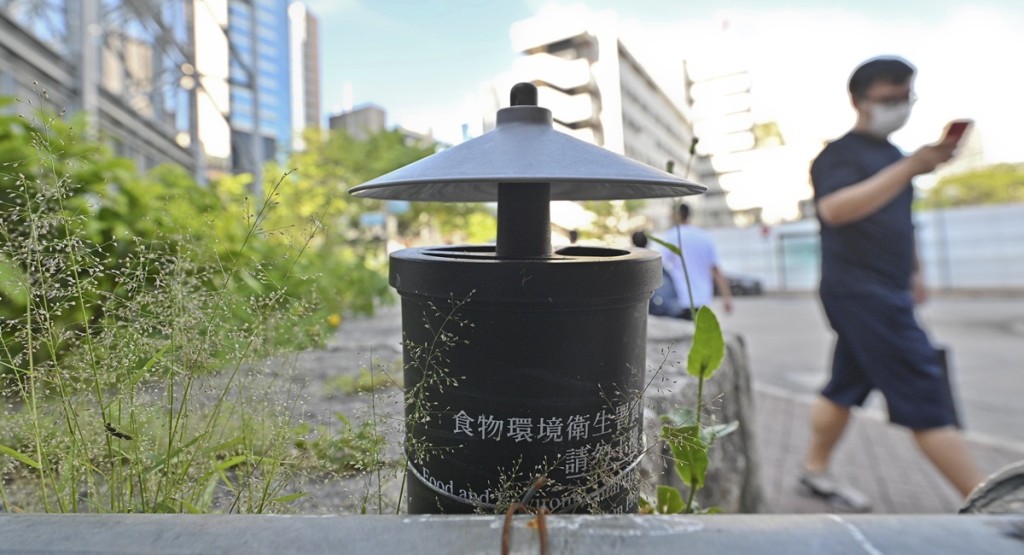 全港4月份透蚊指數達升至二級水平。資料圖片