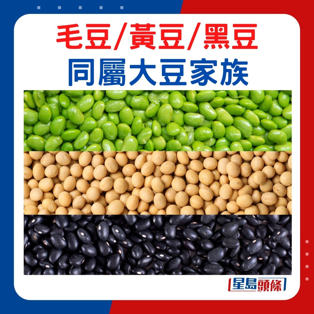 同屬大豆家族