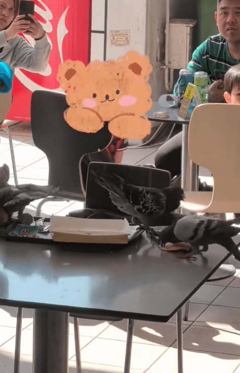 不時有網民見到九龍公園野鴿群搶吃薯條。小紅書圖片