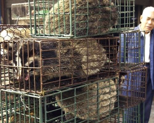 內地開始陸續立法管理野味。網圖