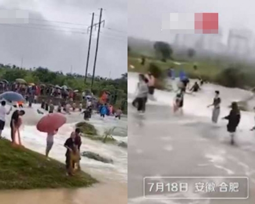 過百人捉魚。網圖