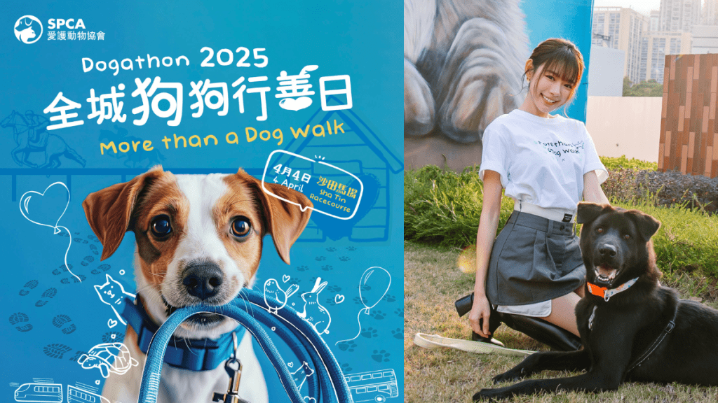 「全城狗狗行善日」2025︰More than a Dog Walk!