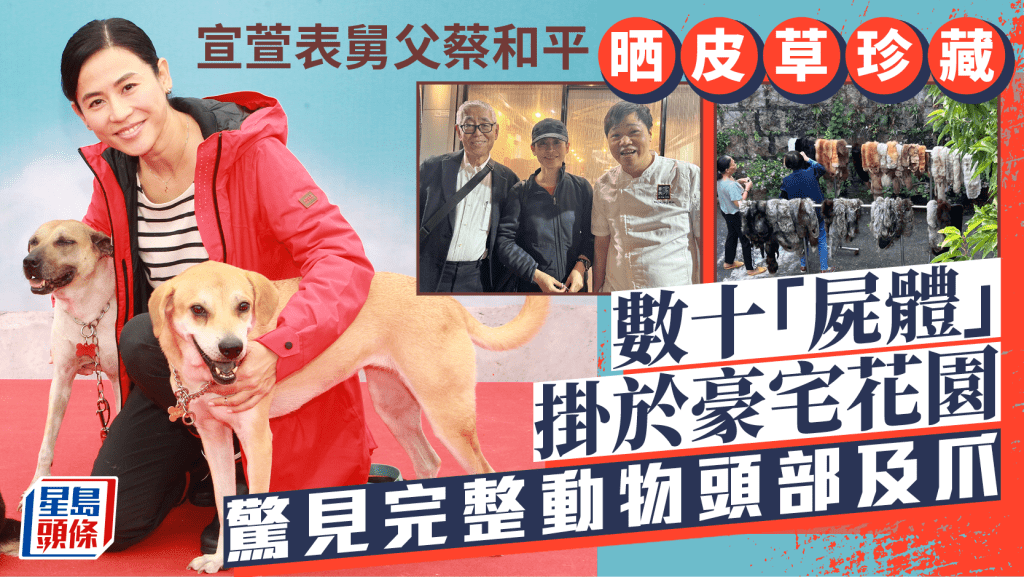 宣萱表舅父蔡和平晒皮草珍藏  數十「屍體」掛於豪宅花園開心留影  驚見完整動物頭部及爪