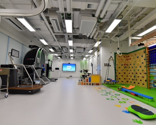 香港都會大學設有物理治療教研室。