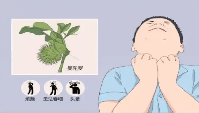 中毒症狀。 敘州疾控 中毒症狀。 敘州疾控