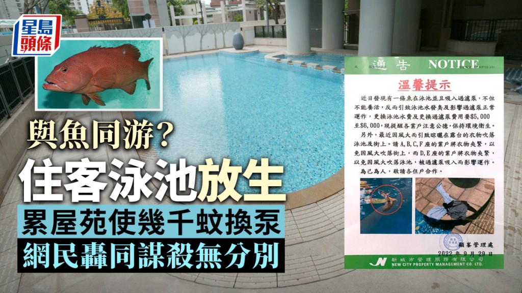有網民在社交平台貼出管理處通告，指有人在泳池放生活魚。上水人大聯盟FB圖片