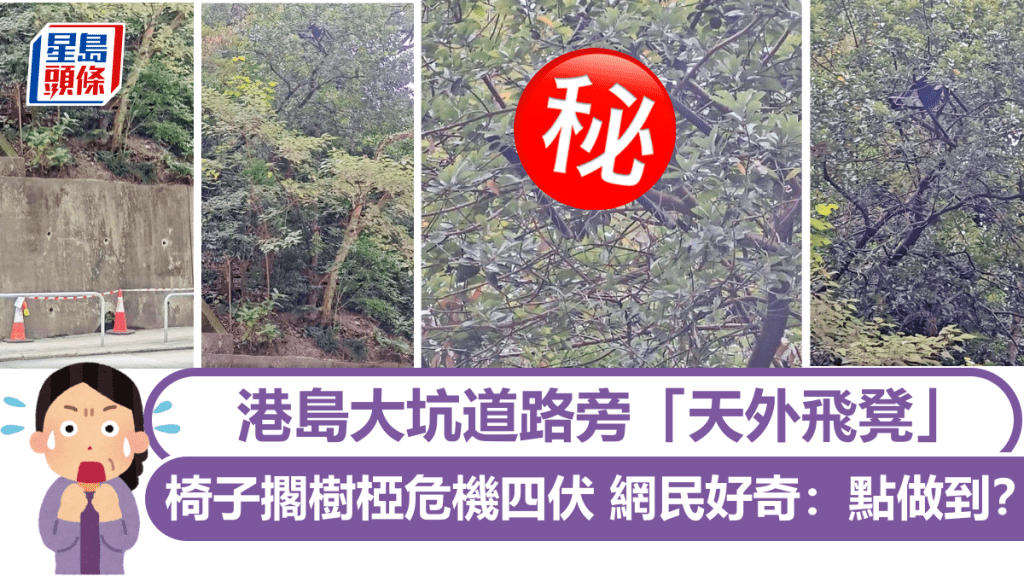 港島大坑道路旁「天外飛凳」 椅子擱樹椏危機四伏 網民好奇：點做到？