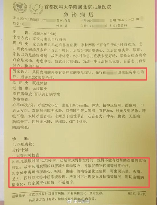 盒馬誤送有毒水仙球當作鮮百合，令顧客中毒入院。津雲新聞
