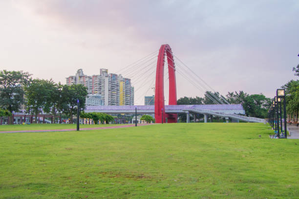 合乎資格的的香港居民可申領《五邑通長者乘車卡》,享受於江門乘坐市區公共汽車的優惠待遇:年滿60歲而未滿65歲的長者可享受半價優惠,65歲以上的長者則可免費乘坐。(圖片來源:istockphoto) 合乎資格的的香港居民可申領《五邑通長者乘車卡》,享受於江門乘坐市區公共汽車的優惠待遇:年滿60歲而未滿65歲的長者可享受半價優惠,65歲以上的長者則可免費乘坐。(圖片來源:istockphoto)
