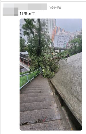 不少網民分享今早返工情況