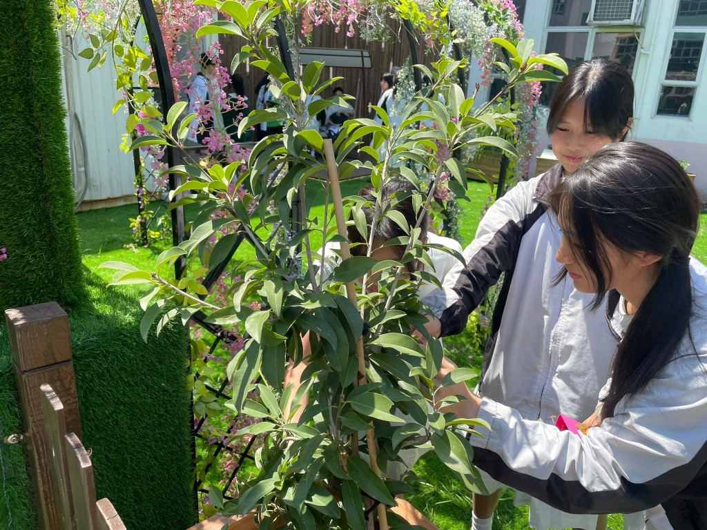 中藥園活動 中藥園活動