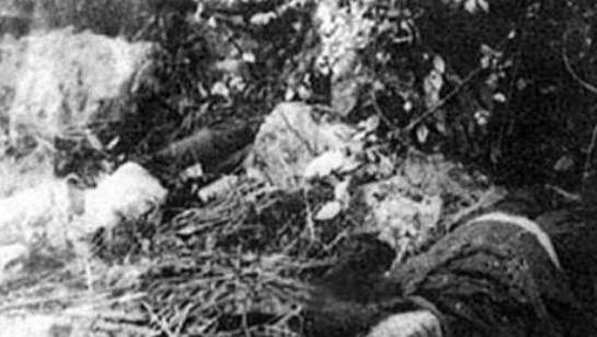 柴草下驚現相擁裸屍。(圖：頭條@不二詭探)