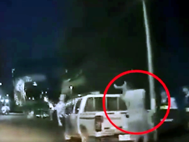 廣東肇慶近日網傳一段「男子打人被傳喚後,將女兒扔上警車車尾」的片段。 影片截圖