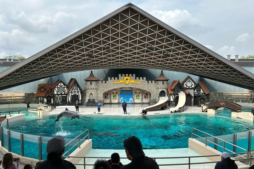 加拿大安大略省知名主題樂園「海洋樂園」（Marineland）近日發出震撼警告，若聯邦政府在今月7日前不提供資金援助，園方或將對館內30條白鯨進行安樂死。美聯社