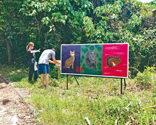 旅發局推介六條藝術文化路綫，位於元朗下白泥的藝術板畫，成為遊人勝地。