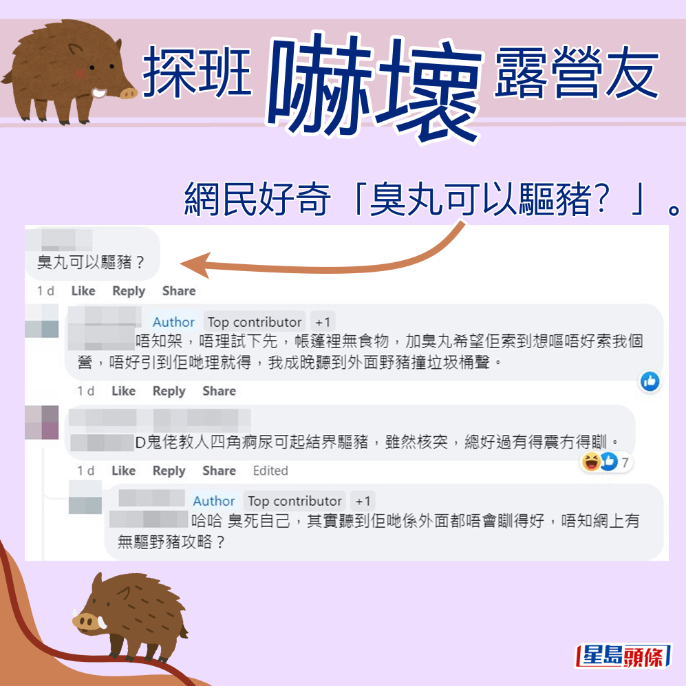 網民好奇「臭丸可以驅豬？」。fb「香港人露營分享谷」截圖