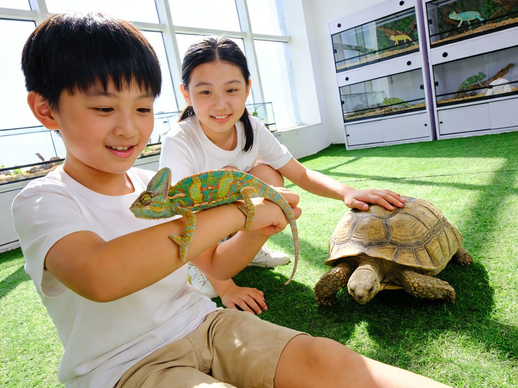 萌寵奇兵嘉年華節目豐富，可讓大家近距離跟多種珍稀及爬蟲動物互動。
