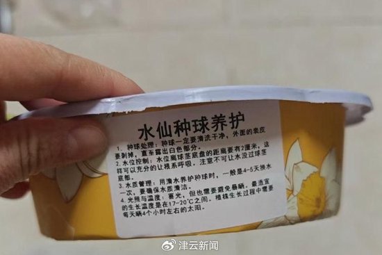 盒馬誤送有毒水仙球當作鮮百合，令顧客中毒入院。津雲新聞