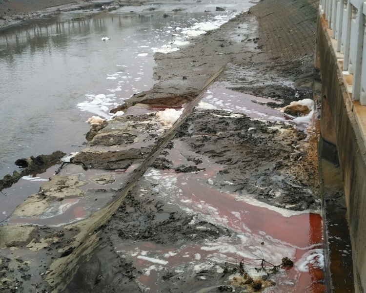 排水口有血紅水流出。網圖