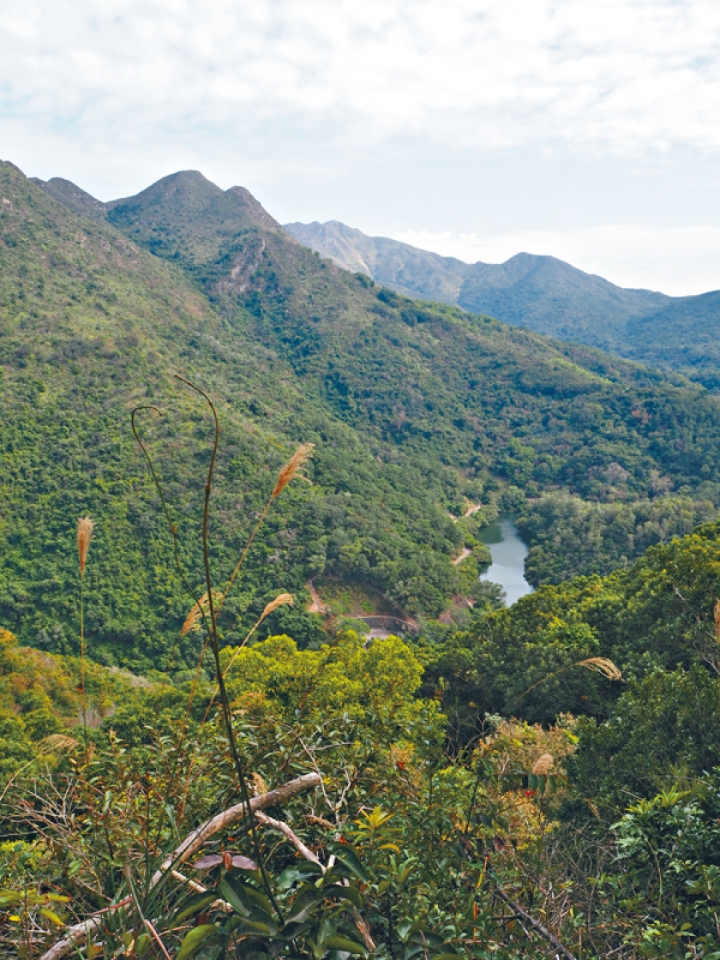 來到石坳山高點，可在觀景台遠眺鶴藪水塘的優美景色。