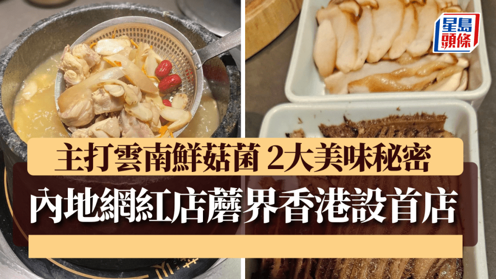 內地網紅店「蘑界」即將進駐新城市廣場設香港首店 主打雲南鮮菇菌 2大美味秘密率先睇